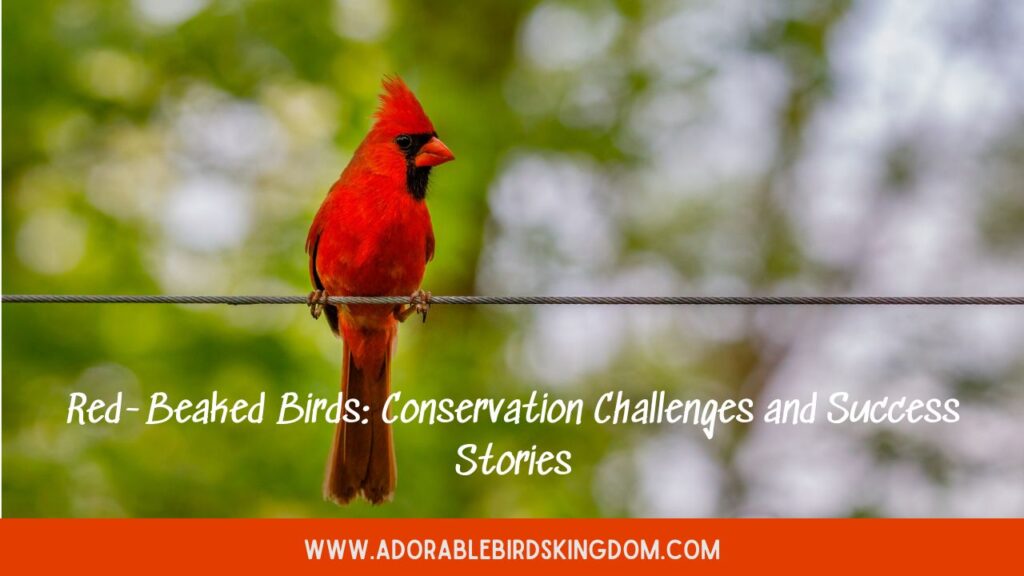 Red-Beaked Birds: Conservation Challenges and Success Stories