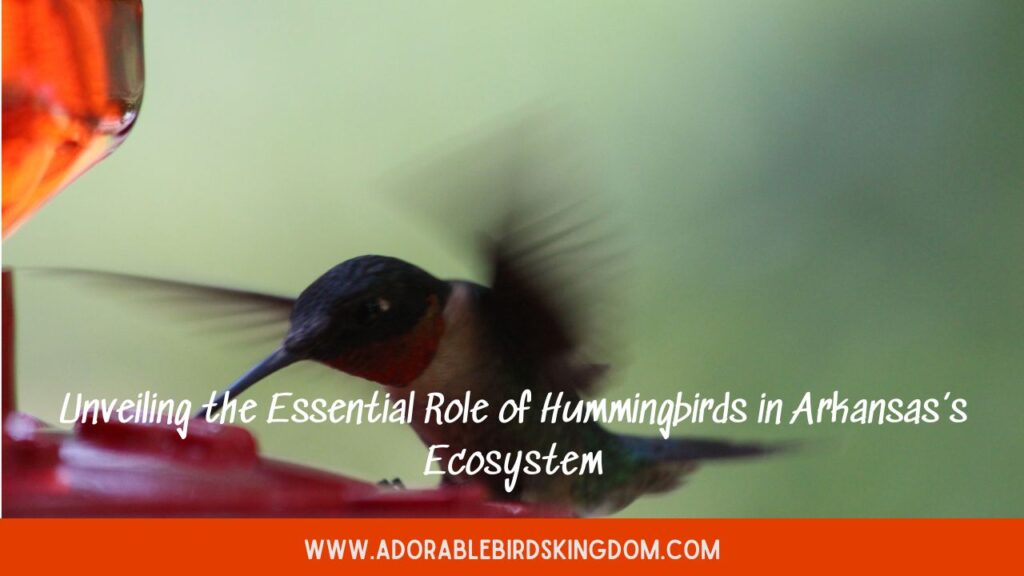 Unveiling the Essential Role of Hummingbirds in Arkansasâ€™s Ecosystem