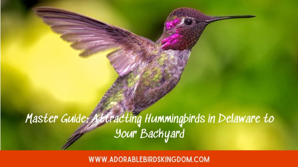 Master Guide: Attracting Hummingbirds in Delaware to Your Backyard