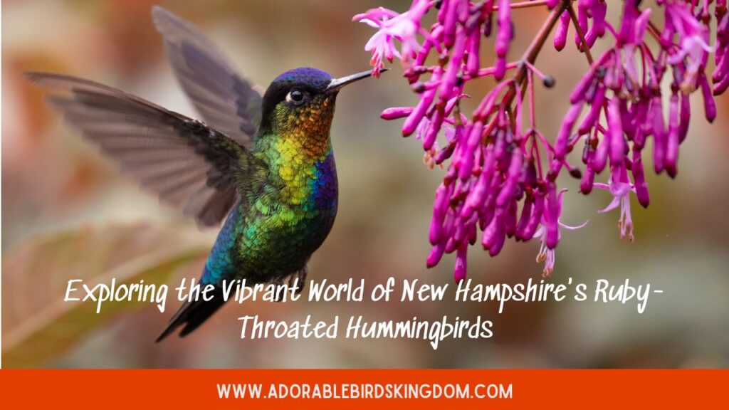 Exploring the Vibrant World of New Hampshire’s Ruby-Throated Hummingbirds