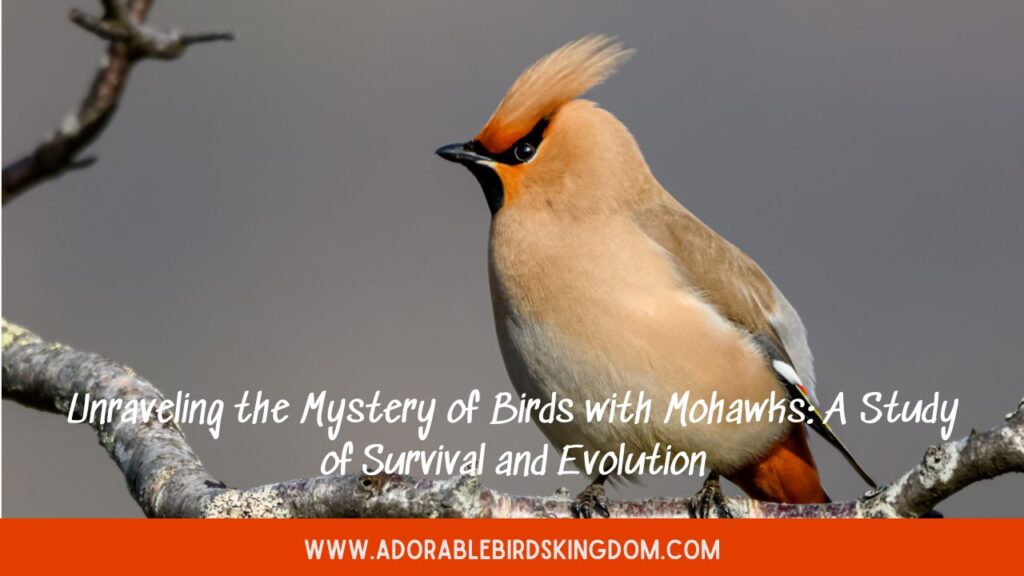 Unraveling the Mystery of Birds with Mohawks: A Study of Survival and Evolution