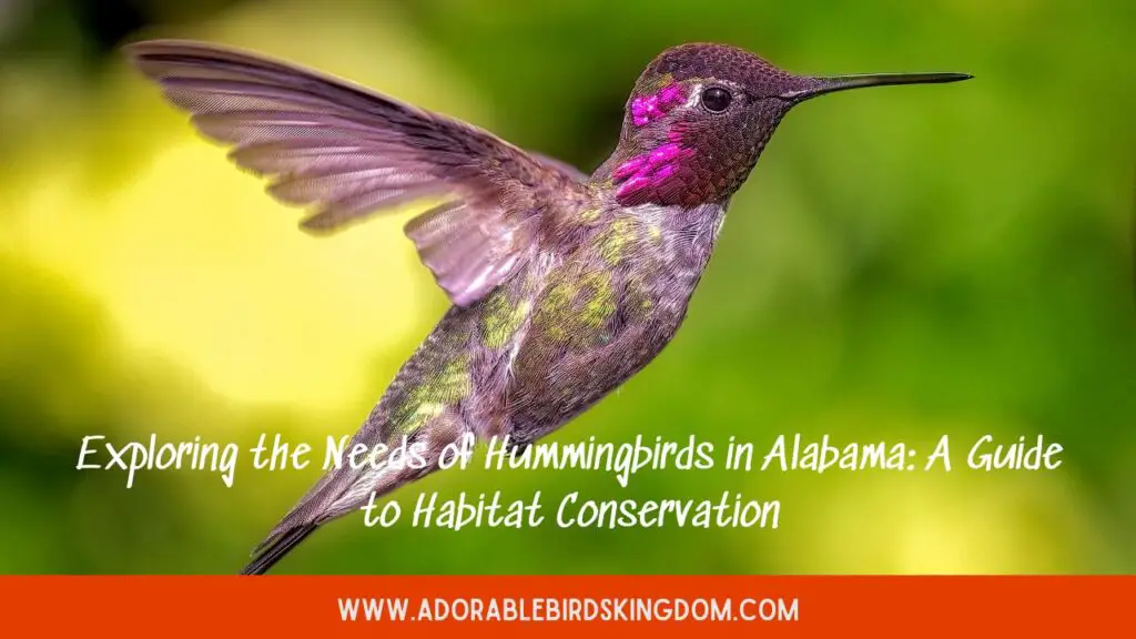 Exploring the Needs of Hummingbirds in Alabama: A Guide to Habitat Conservation