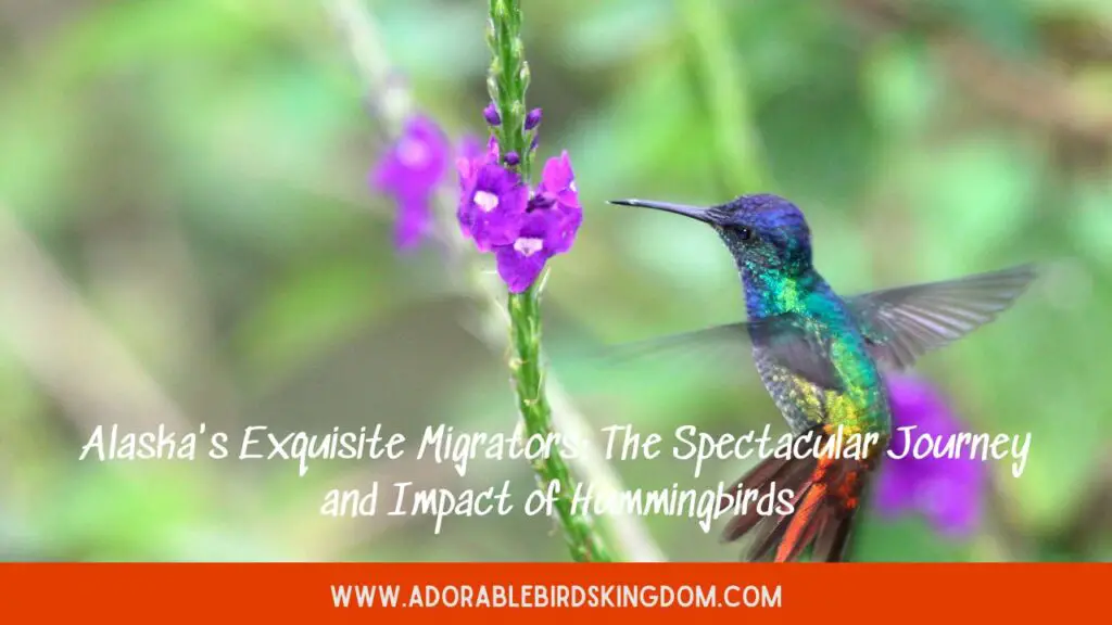 Alaska’s Exquisite Migrators: The Spectacular Journey and Impact of Hummingbirds