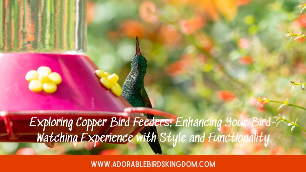 Exploring Copper Bird Feeders: Enhancing Your Bird-Watching Experience with Style and Functionality