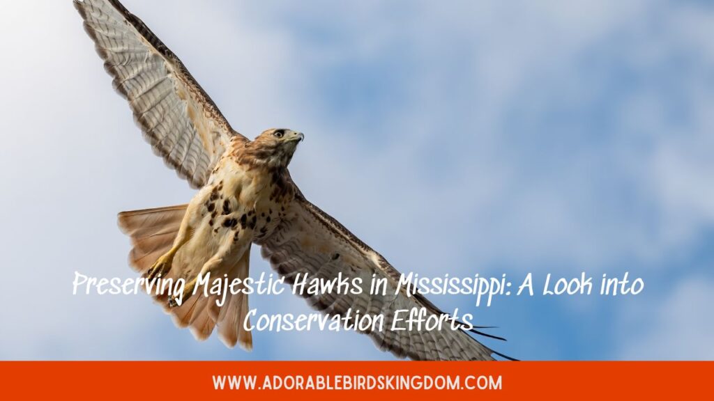 Preserving Majestic Hawks in Mississippi: A Look into Conservation Efforts