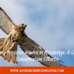 Preserving Majestic Hawks in Mississippi: A Look into Conservation Efforts