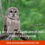 Unveiling the Ecological Significance of Owls in South Dakota’s Ecosystem