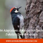 Unveiling the Adaptations of Woodpecker Species in North Dakota’s Diverse Habitats