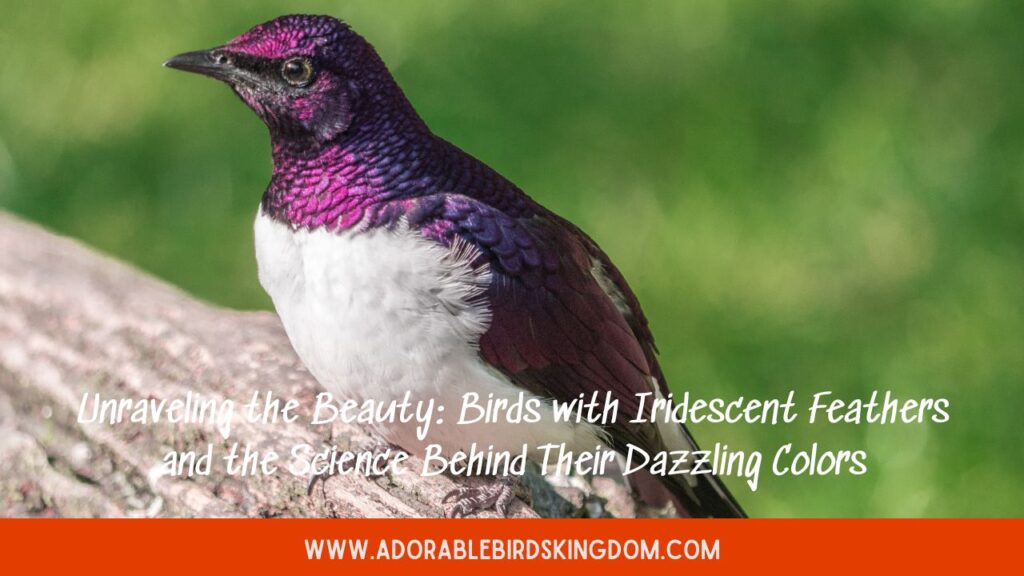 Unraveling the Beauty: Birds with Iridescent Feathers and the Science Behind Their Dazzling Colors