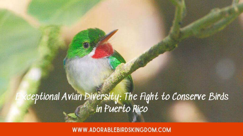 Exceptional Avian Diversity: The Fight to Conserve Birds in Puerto Rico