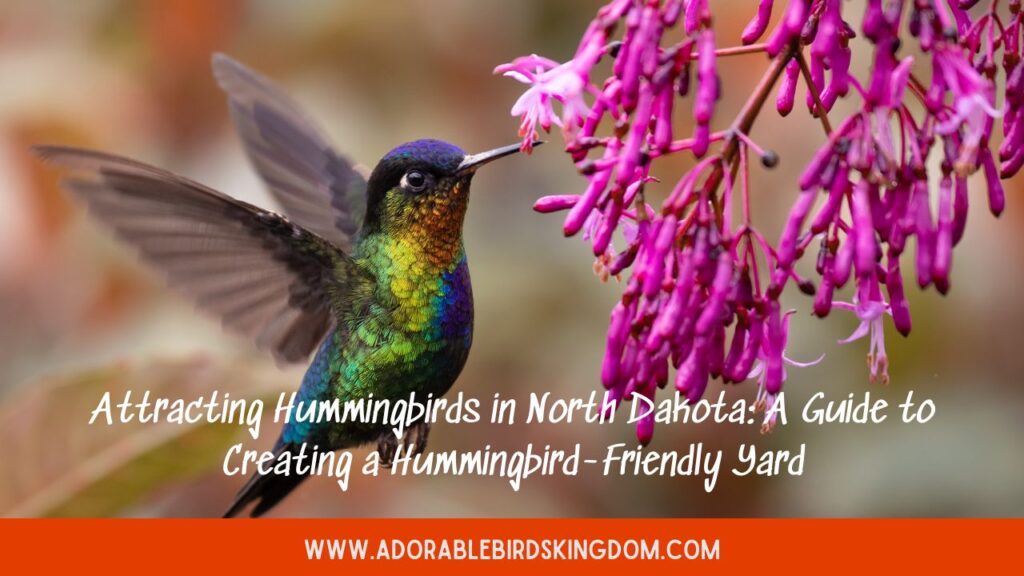 Attracting Hummingbirds in North Dakota: A Guide to Creating a Hummingbird-Friendly Yard