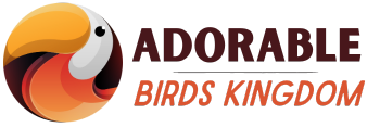 Adorable Birds Kingdom