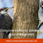 woodpeckers in idaho