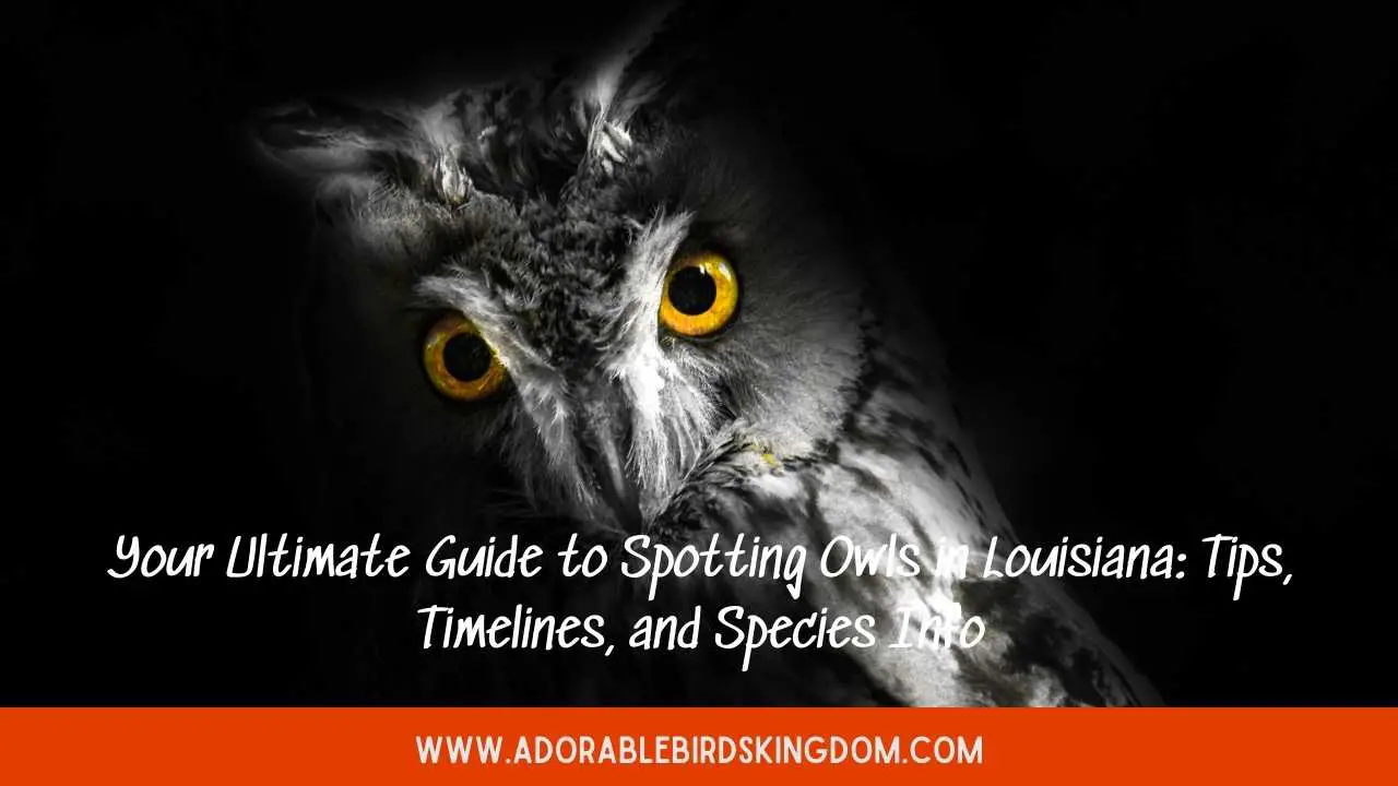 Your Ultimate Guide to Spotting Owls in Louisiana: Tips, Timelines, and ...