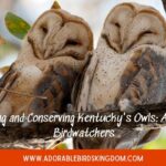 owls in kentucky