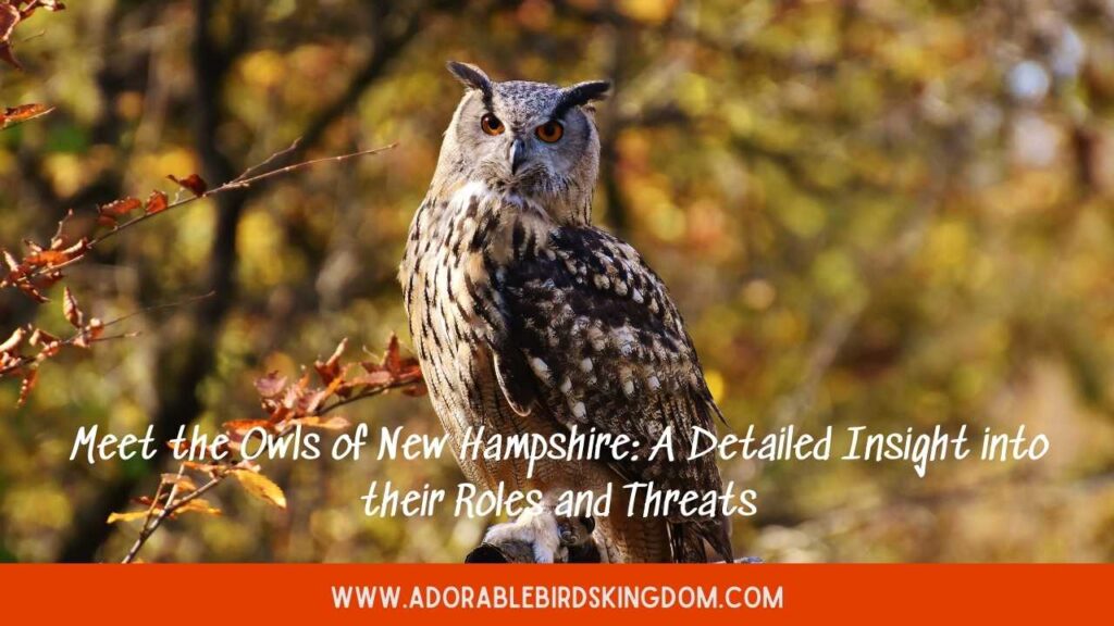 owls in new hampshire