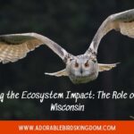 owls in wisconsin
