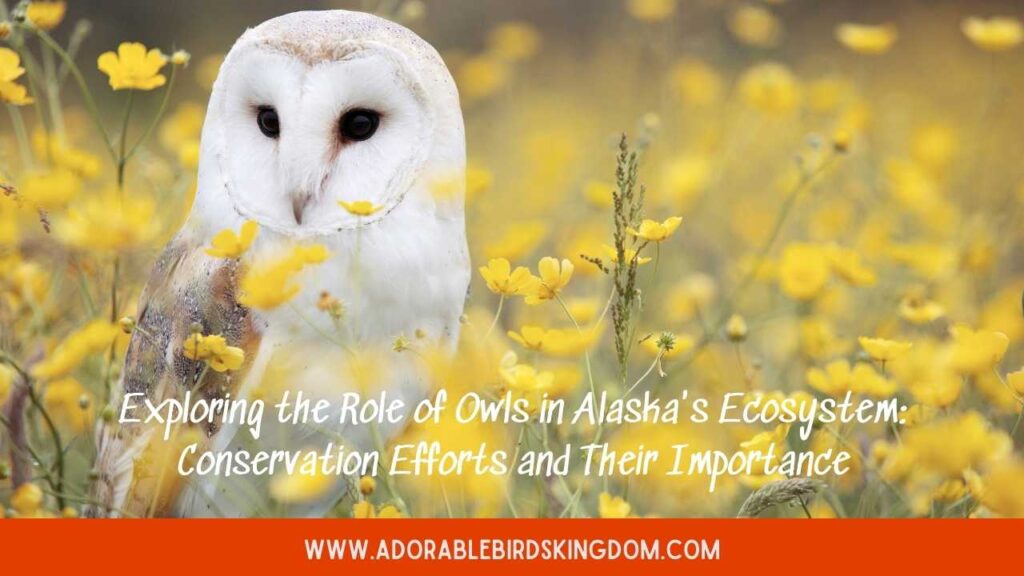 owls in alaska