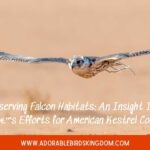 falcons in louisiana