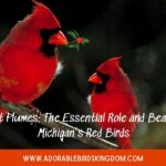 red birds in michigan