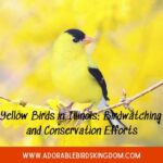 yellow birds in illinois