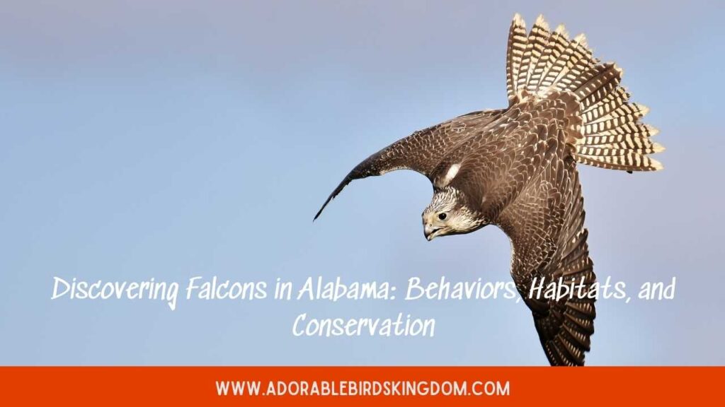 falcons in alabama